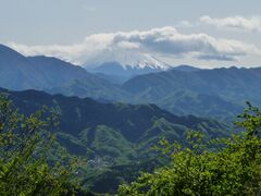 Вид на Фудзи с горы Такао-сан