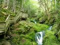 Водопад Диксон фр.  Sentier Dickson Falls