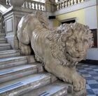 Скульптура льва лестницы Университета