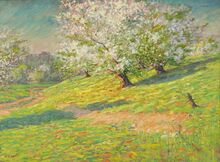 Apple Blossoms