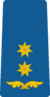 Georgia Air Force OF-5.png