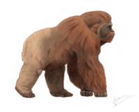 Реконструкция Gigantopithecus blacki