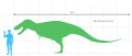 Сравнение размеров человека и горгозавра