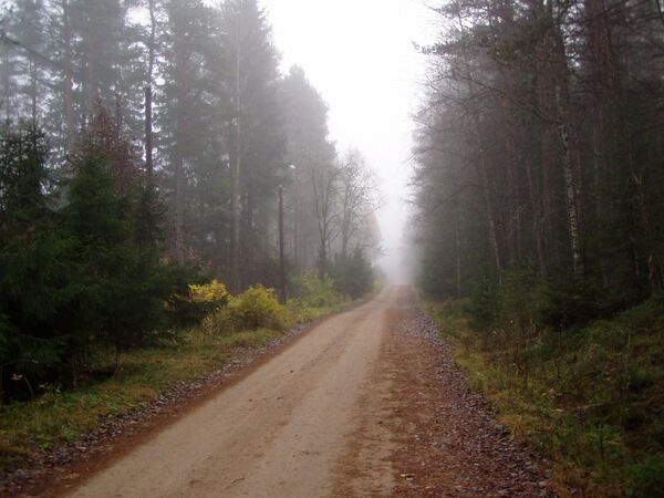 Осень в Горьковском. 2007 год