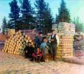 Рабочие-пильщики на Вытегре (Вологодская губерния). Фотография Прокудина-Горского, 1909 год