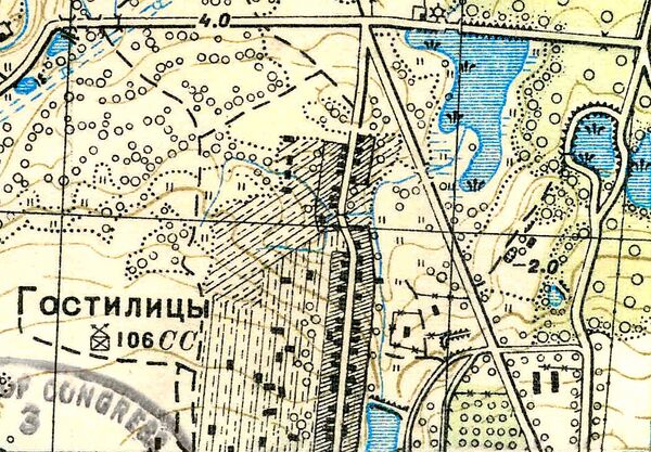 План села Гостилицы. 1939 год