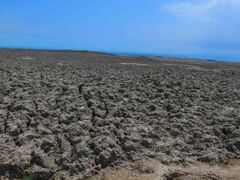 Gotur Mud Volcano 3. Photo by Uzeyir Mikayilov.jpg