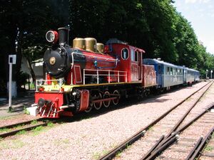 Паровоз Гр-336 с поездом на Киевской ДЖД