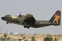 Greek Air Force C-130H Hercules Lofting.jpg