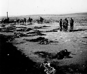 Тела погибших испанцев в Монте Арруит, июль 1921 года