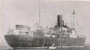 «Комет», замаскированный под японский пароход