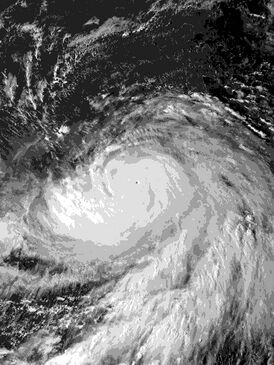 Тайфун Хагибис максимальной силы