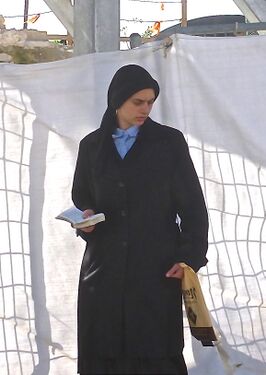 Ортодоксальная иудейка, 2013