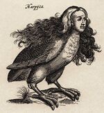 Harpij - I.I Schipper 1660, graveur Matthius Merian, naar J.Jonstons' "Naekeurige Beschryvingh van de Natuur".jpg