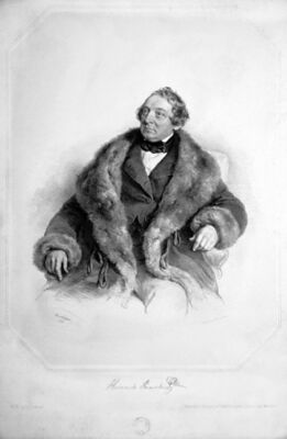 Портрет работы Йозефа Крихубера. 1855