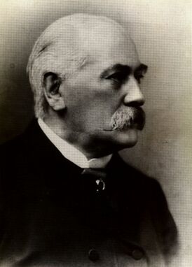 Генрих Бругш в 1894 году
