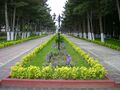 Цветочная аллея в парке им.Г.Алиева