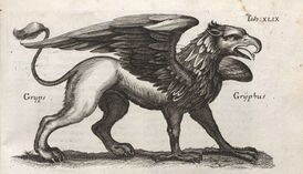 Грифон в старинной книге о животных (ок. 1652 г.)