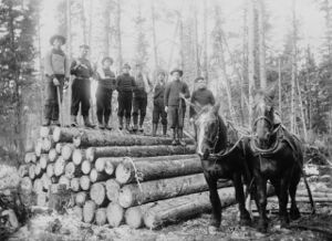 Horses hauling timber Ontario.jpg