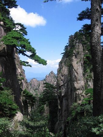 Вид с горы Хуаншань и хуаншаньские сосны (лат. Pinus hwangshanensis), городской округ Хуаншань
