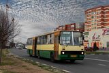 Ikarus 280.03 в Железногорск (Курская область)