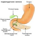 Область поджелудочной железы