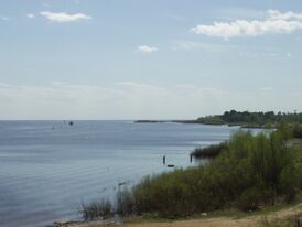 Побережье озера Ильмень недалеко от Великого Новгорода весной 2003 года