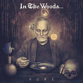 Обложка альбома In the Woods... «Pure» (2016)