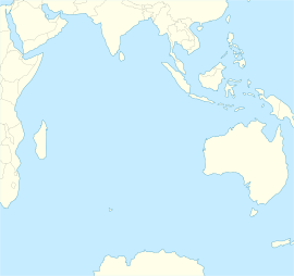 Зелёная белокровка (Индийский океан)
