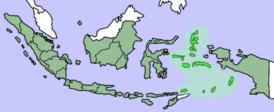 Молуккские острова показаны светло-зелёным