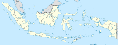 История Индонезии (Индонезия)