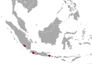 Indonesian Mountain Weasel area.png