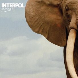 Обложка сингла Interpol «Mammoth» (2007)