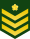 JGSDF Leading Private insignia (a).svg