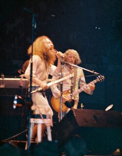 Группа во время концертного выступления в 1973 году.
