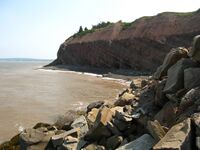 Joggins Fossil Cliffs on the Bay of Fundy at Joggins, NS - 08734.JPG