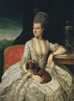 Эрцгерцогиня Мария Кристина, герцогиня Тешенская, (1742-1798) по прозвищу «Мими», 1776 г.