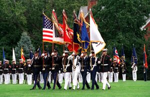 Военнослужащие ВС США с знамёнами видов ВС и родов войск, видны панталеры, 28 мая 2006 г..