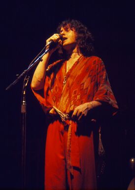 На концерте Yes в Индианаполисе (1977)