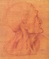 С затылка Леонардо да Винчи, этюд головы Иуды для «Тайной вечери», ок. 1495