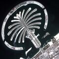 Спутниковый снимок Пальмового острова