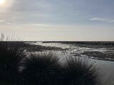 Kızılırmak Delta lake.jpg