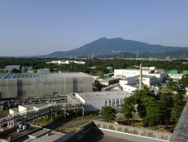 Территория лаборатории на фоне горы Цукуба