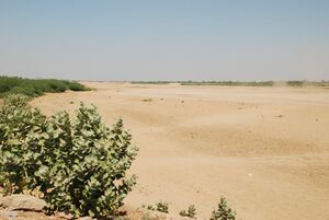 Низовье реки в сухой сезон 2008 года.