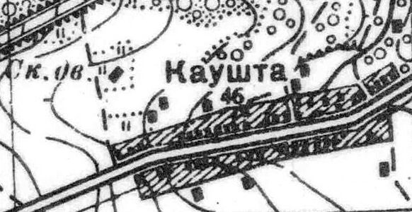 План деревни Каушта. 1939 год