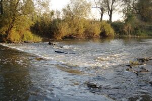 Река в Сумской области
