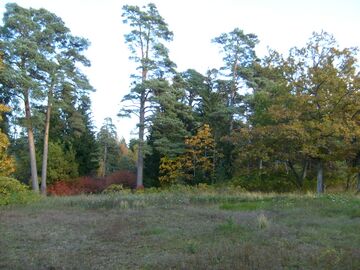 Парк полумызы Кылтсу в 2008 году
