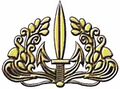 Квалификационный знак диверсанта-разведчика морской пехоты