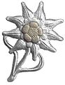 Эдельвейс альпийский, символ подгальских стрелков