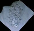 Снимок Котельного 21 марта 1973 года, спутник Landsat-1, разрешение 60 м